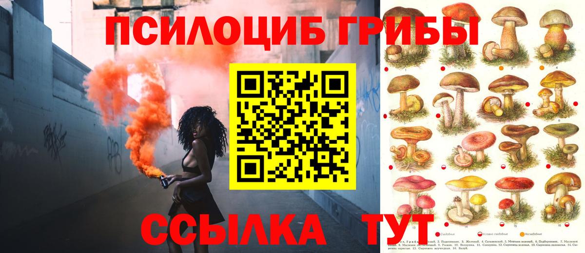 Псилоцибиновые грибы Psilocybe  где купить наркоту  Псилоцибиновые грибы мухоморы  Лянтор  Вход с VPN 